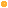 Gold coin